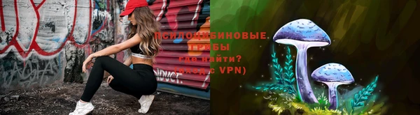PSILOCYBIN Переславль-Залесский