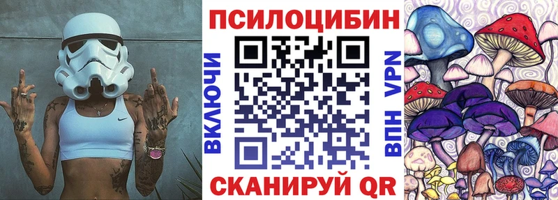 Псилоцибиновые грибы Cubensis  Белово 